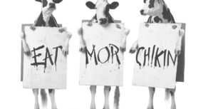 Eat More Chikin 3